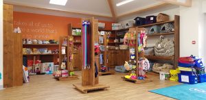 Retail Store Renovation